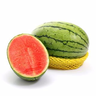 九游体育官方网站产品名称四