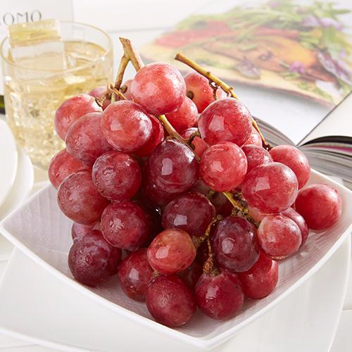 九游体育官方网站产品名称五